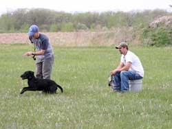 Chris Wilson working with a customer and his hunting dog