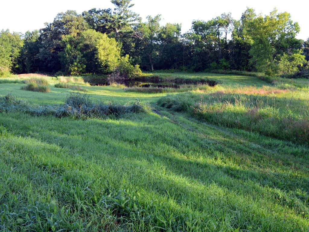 training pond